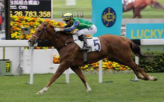 Blizzard winning the Chinese Club Challenge Cup. Photo: Hong Kong Jockey Club